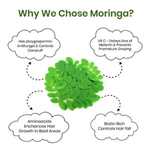 why we chose moringa? - here's the answer 