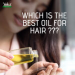 Which Oil is Best For Hair