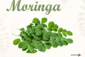 moringa for hair 