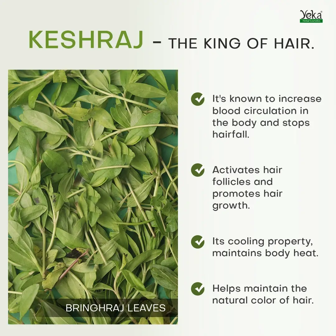 Herbal Hair Growth Oil, Natural Hair Care Products | Yeka