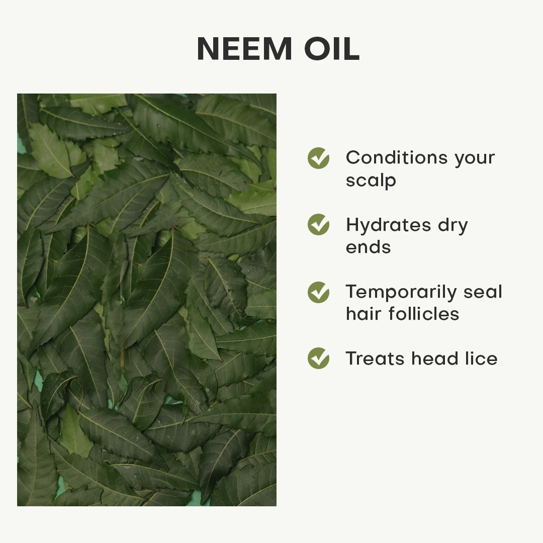 Top 10 Neem Oil Brands In India  Best for Skin  Hair Care  VedaOils