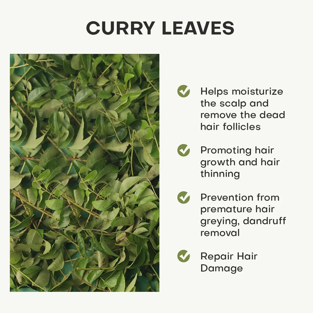 curry leaf oil for hair growth